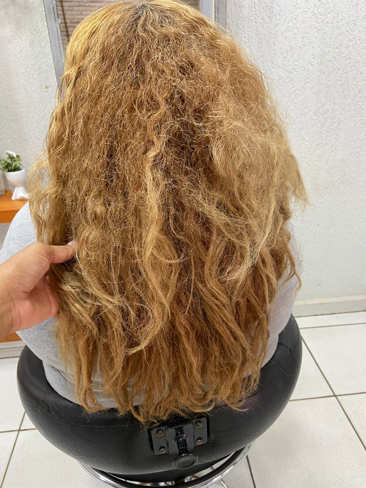 Antes 1